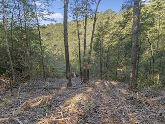 230 Eureka Rd, Zoe, KY 41397