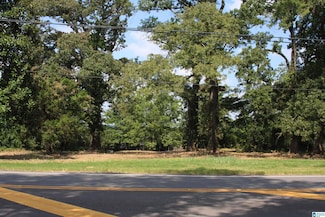 5714 Smokey Rd, Calera, AL 35040