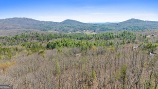 40B Synacia Dr, Mineral Bluff, GA 30559