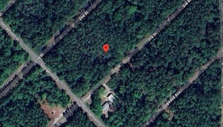 208 SE 3rd St, Georgetown, FL 32139