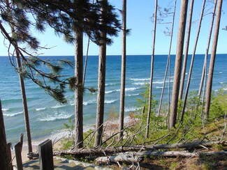 000 County Road 412, McMillan Township, MI 49868