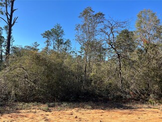 0 Apalachicola Ave Unit MFROK223766, Alford, FL 32420