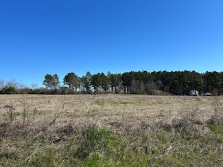 Lot 8, 2.3+-ac Alabama 53, Dothan, AL 36301