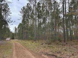 TBD Parcel 3 Paint River Rd, Crystal Falls, MI 49920