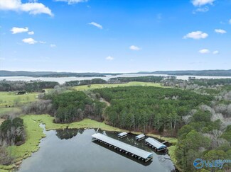 460 John Cabaniss Rd, Langston, AL 35755
