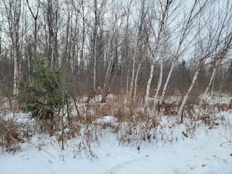 5 Acres off Weirgor Rd, Exeland, WI 54835