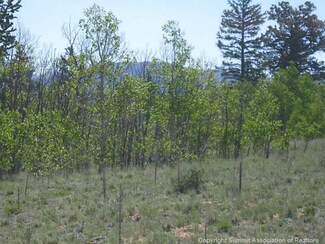 150 Patch Ct, Como, CO 80432