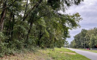 0 NE County Road 138 Unit 124666, High Springs, FL 32643