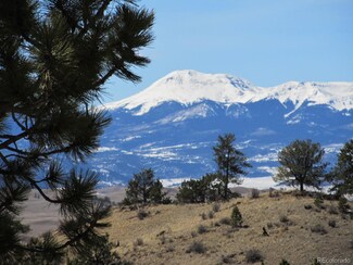 0 Running Bear Rd Unit 9172735, Hartsel, CO 80449