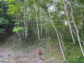 0 Waterwalk Ct Unit 1301697, Smithville, TN 37166