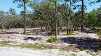 0 Akins Dr Unit MFRTB8387664, Hudson, FL 34610