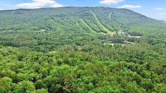 0 Mansfield Ln Unit 5004039, Londonderry, VT 05148