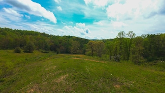 0 Pinnacle Ln, Meadows of Dan, VA 24120