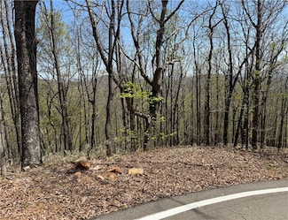 7248 Ridgeview Dr, Big Canoe, GA 30143