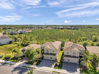 2495 Oakwood Preserve Dr, Wesley Chapel, FL 33543