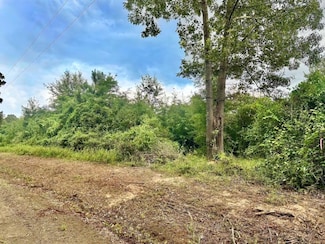 TBD County Road 2711, Shelbyville, TX 75973