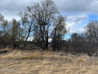 780 W Montana Dr, Palmer, AK 99645