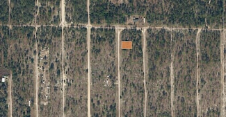 Tbd Maine Terrace, Hawthorne, FL 32640