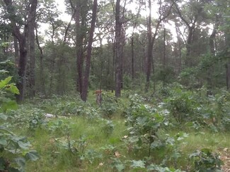 3 Ac 13th Dr, Preston, WI 53934