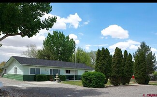855 Hartig Dr, Delta, CO 81416