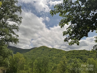 000 Rickman Ridge, Canton, NC 28716