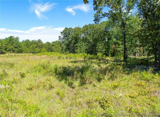 0 D L Phillips Ln, Broadway, NC 27505