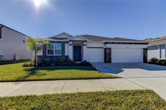 32238 Conchshell Sail St, Wesley Chapel, FL 33545
