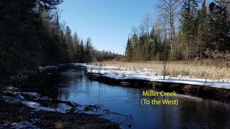 TBD M-32 Hwy Unit Parcel C, Hillman, MI 49746