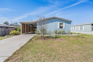 4414 Sentry Palm Loop, Zephyrhills, FL 33542