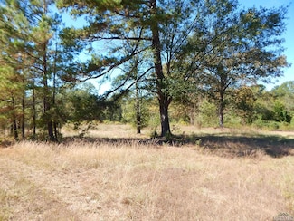 TBD 2 ACRES State Highway 155, Gilmer, TX 75644