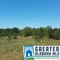 0 Highway 9 Unit 755695, Lineville, AL 36266