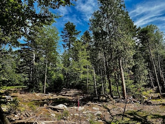 0 Flye Point Unit Lot 1 1630407, Brooklin, ME 04616