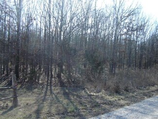 19546 Bean Creek Dr, Licking, MO 65542