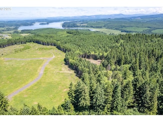 0 Silverwood Dr Unit Lot C2 132343749, Castle Rock, WA 98611