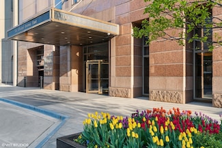 161 E Chicago Ave Unit 29DE, Chicago, IL 60611