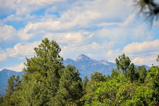 1343B Wheeler Place, Pagosa Springs, CO 81147