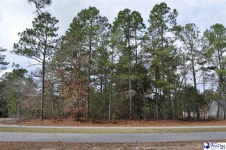Lot 17 Country Club Ct, Nichols, SC 29581