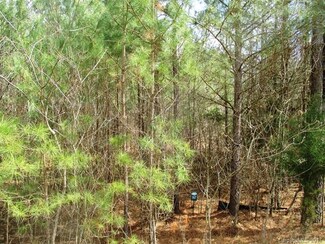 LT 51 Lakeside Trail, Lilesville, NC 28091