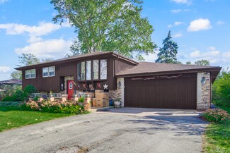 10521 Fitzsimmons Dr, Palos Park, IL 60464