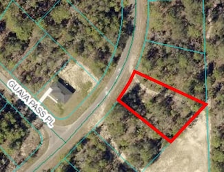 164 Guava Pass, Silver Springs Shores East, FL 32179