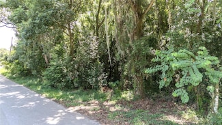 0 3rd St, Leesburg, FL 34748