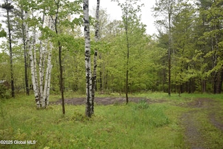 L2 Posson Hill Rd, Middleburgh, NY 12122