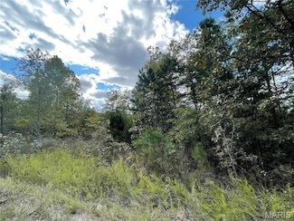 13 Woodland Heights W, Poplar Bluff, MO 63901