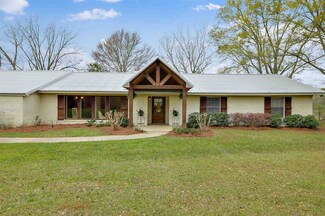 247 Sherman Rd, Newhebron, MS 39140