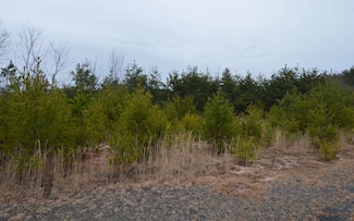 LOT 2 the Preserve at Beach Mountain, Brasstown, NC 28904