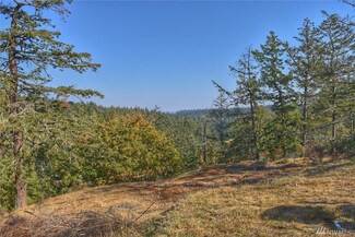 0 Orcas Hill Rd Unit 1409236, Orcas Island, WA 98280