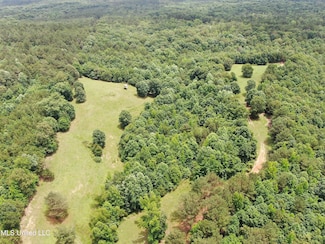 0 Tanner Dr Unit 4115804, Hickory Flat, MS 38633