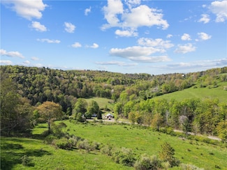 725 S Hill Rd, Spencer, NY 14883