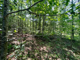 341 Mcdowell Rd, Washington, ME 04574