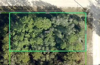 14040 Ruffed Grouse Rd, Weeki Wachee, FL 34614